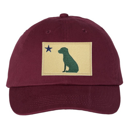1820/1901 Maine Flag Dad Hat  - Maroon