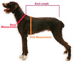 Blaze Orange Dog Visibility Vest Thumbnail