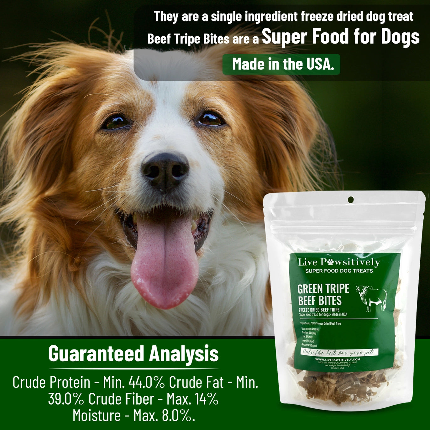 Green Tripe Beef Bites - 3.0oz