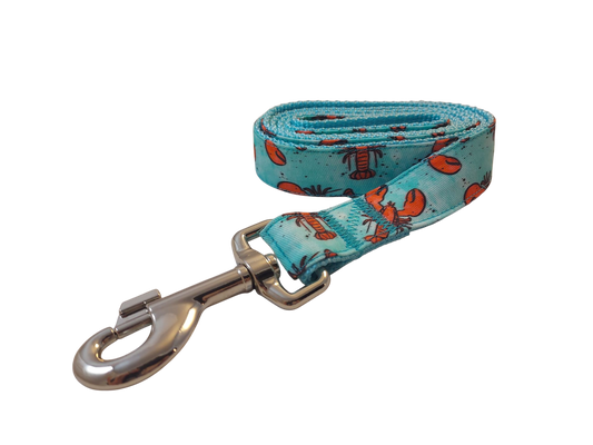1” x 52" Ribbon Dog Leash – Aqua Lobster