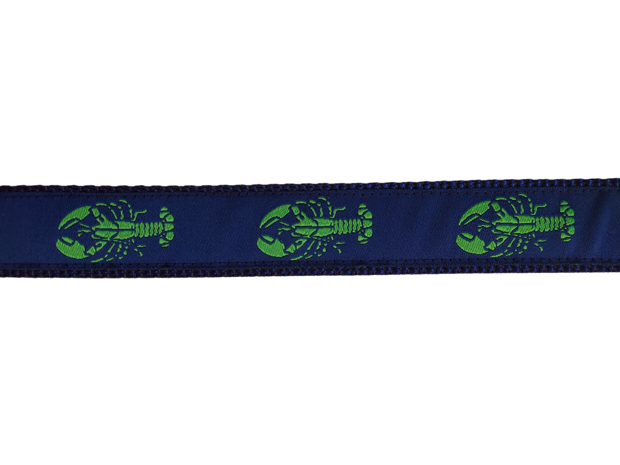 1” x 5ft  Ribbon Dog Leash – Lobster, Green on Navy Blue