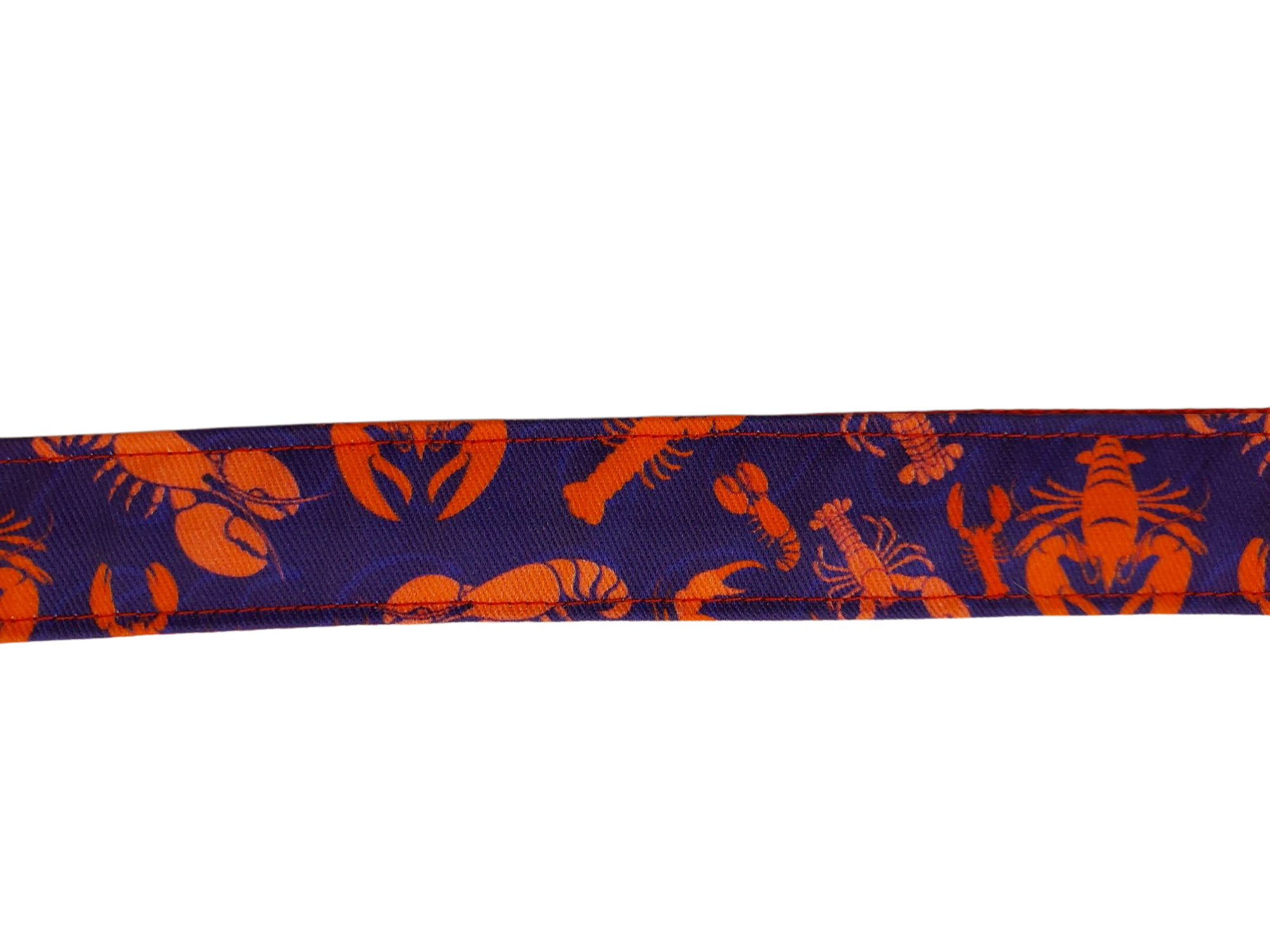 1” Ribbon Dog Leash – Crabby Lobster