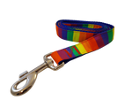 1” x 5ft  Ribbon Dog Leash – The Pride Thumbnail