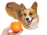 Dog Treat Toy - Toppl Thumbnail
