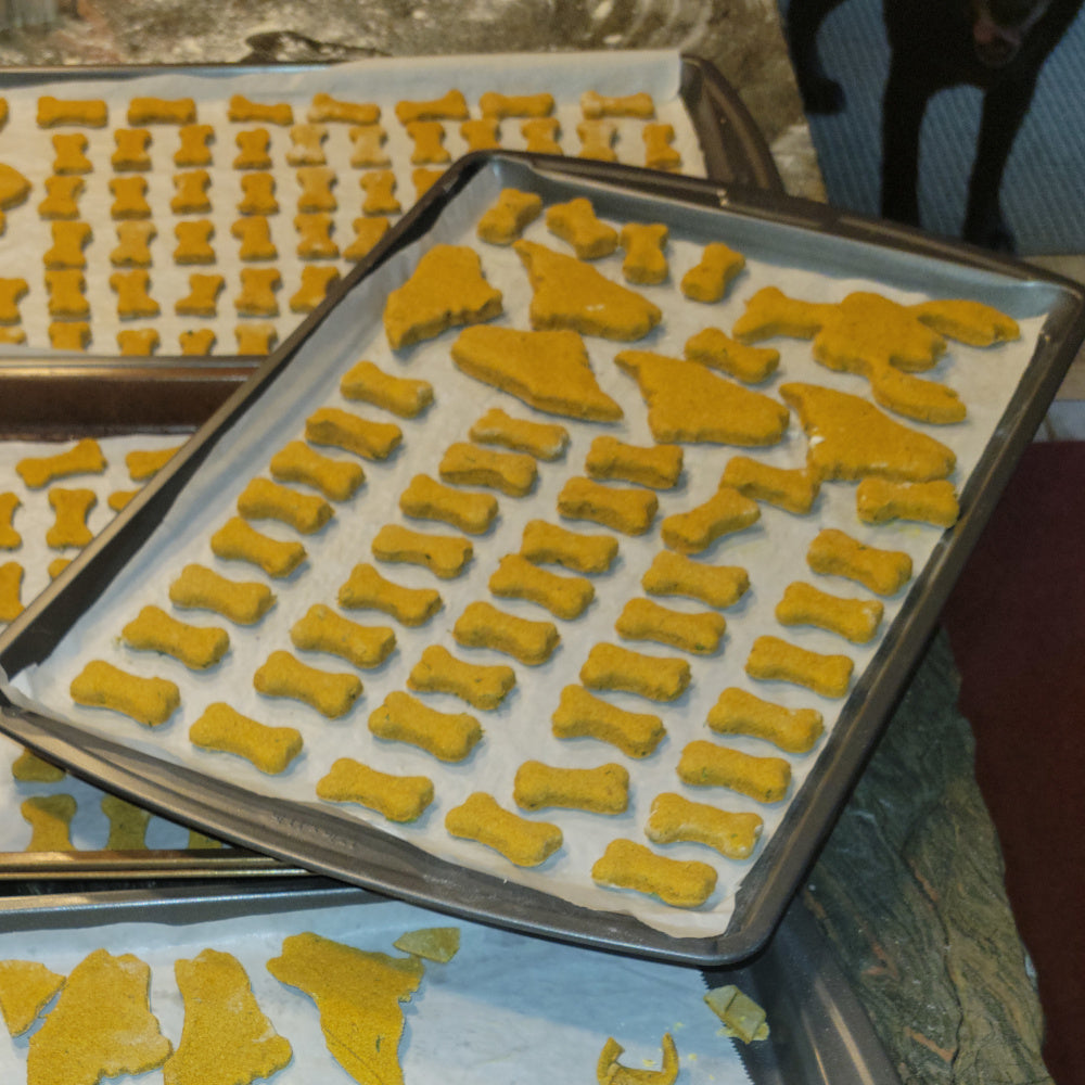Multiple baking sheets loaded with freshly cut, handmade dog treats ready for the oven. 