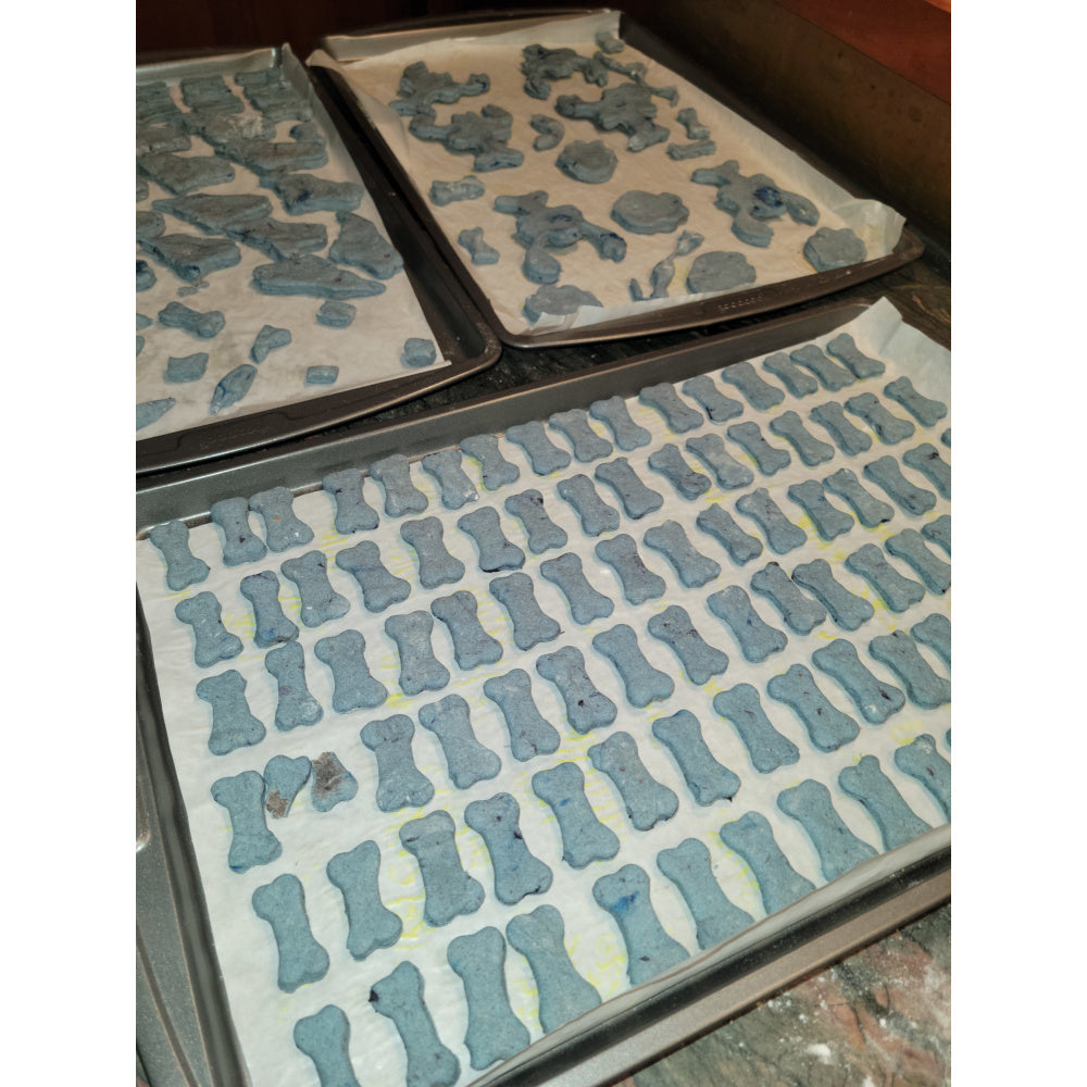 Multiple baking pans loaded with freshly cut, blueberry-infused treats shaped like bones, Maine, and lobsters, ready for the oven.