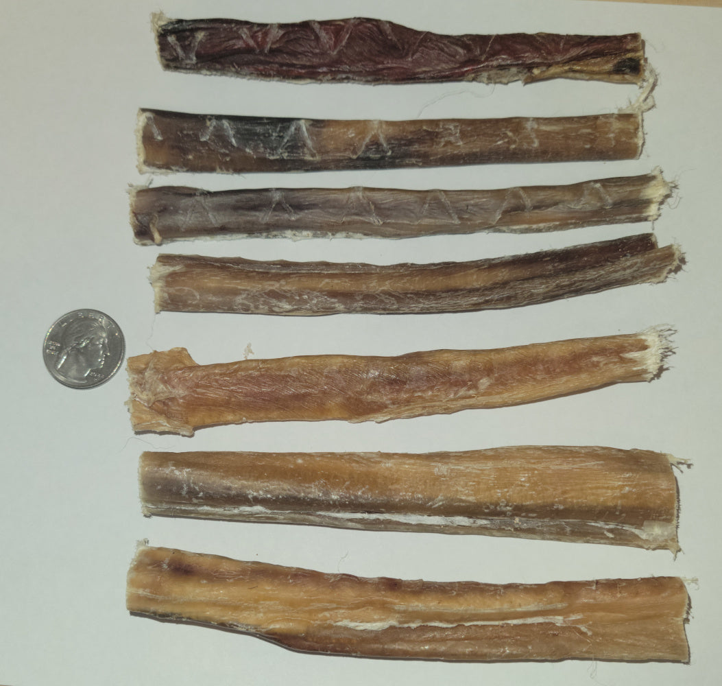 Seven 6-inch odorless bully sticks laid flat with quarter coin for size reference. 