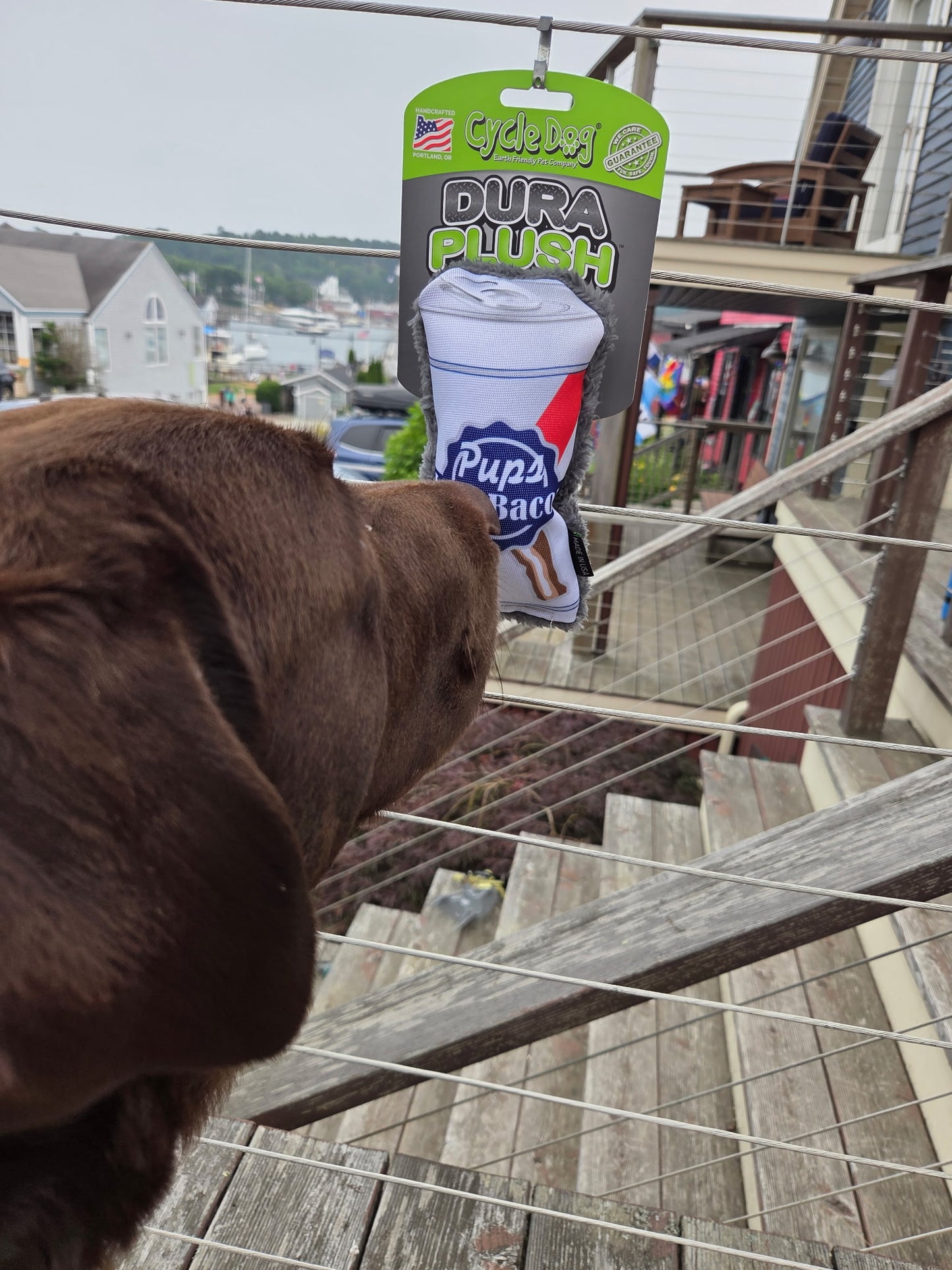 A brown dog is shown in a real outdoor environment, looking at a packaged Pups Play Dura Plush toy hanging in front of a staircase.