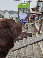 A brown dog is shown in a real outdoor environment, looking at a packaged Pups Play Dura Plush toy hanging in front of a staircase. Thumbnail