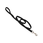 3/4” Nylon Dog Leash x 6ft Thumbnail
