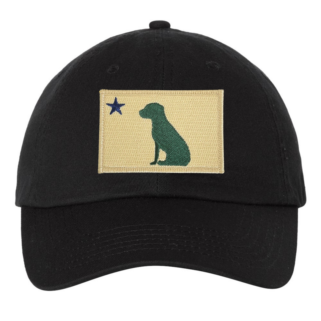 1820/1901 Maine Flag Dad Hat  - Black