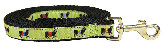 5/8” x 6ft Ribbon Dog Leash – Beltie, Lime