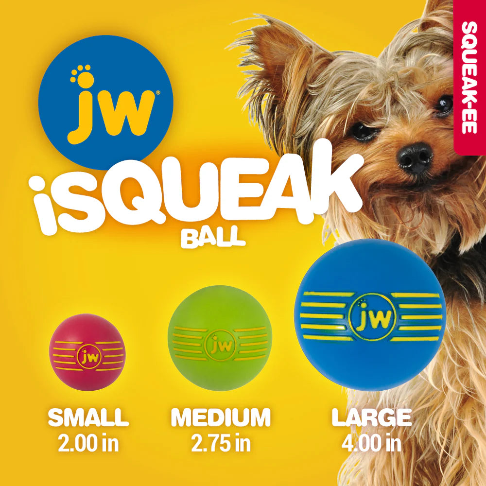 Dog Fetch Toy - iSqueak Ball
