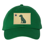 1820/1901 Maine Flag Dad Hat  - Green Thumbnail