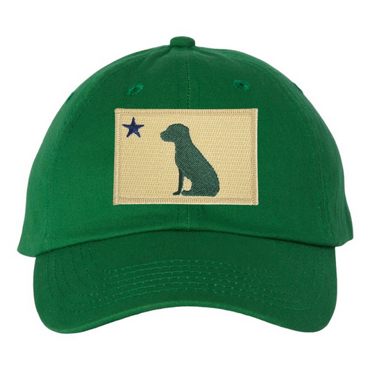1820/1901 Maine Flag Dad Hat  - Green