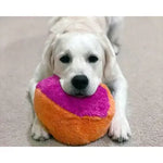 White dog playing with a colorful ball on a carpeted floor Thumbnail