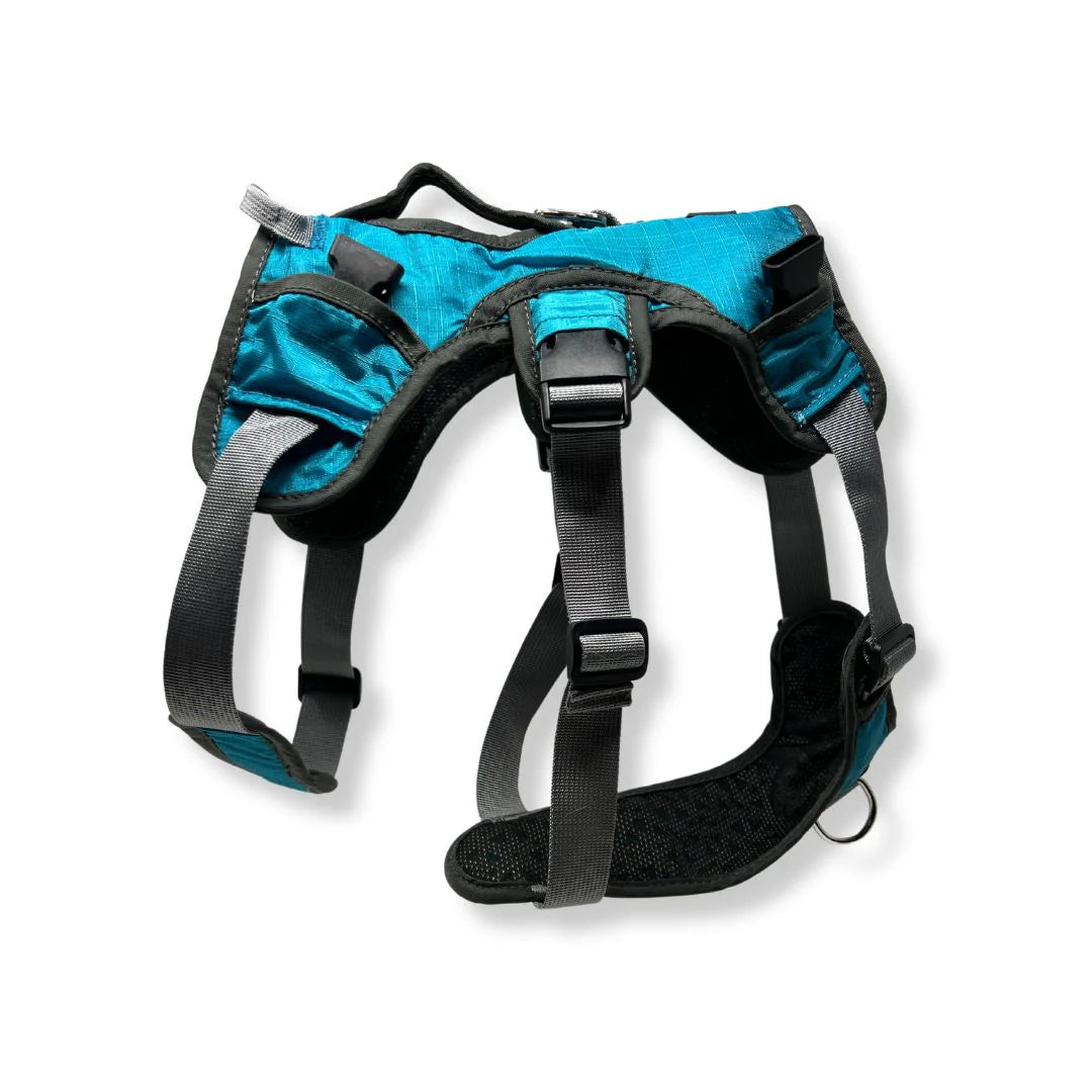 Dog Backpack – Blue / Green