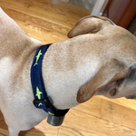 1” Underground Fence Dog Collar - Lime Sharks on Navy Blue Thumbnail
