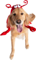 Dog Costume – Lobster Thumbnail