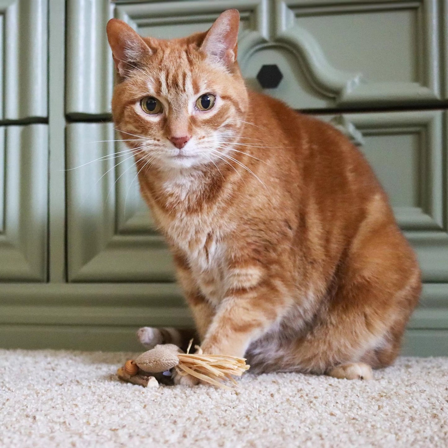 Cat Toy – Dangle Turbo Fish