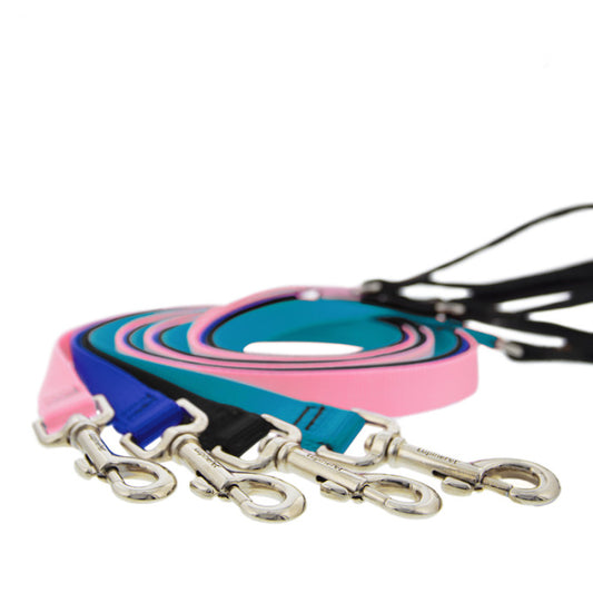 1/2” Nylon Dog Leash x 6ft