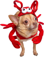 Dog Costume – Lobster Thumbnail