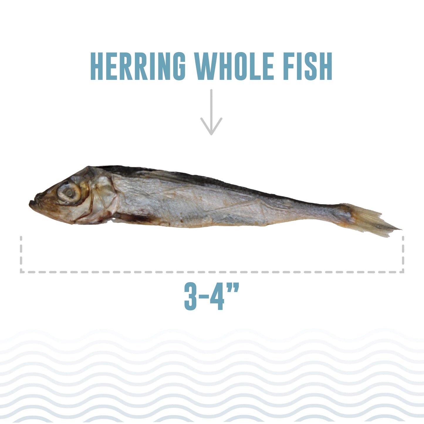 Herring Whole Air-Dried Fish