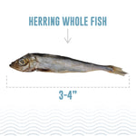 Herring Whole Air-Dried Fish Thumbnail