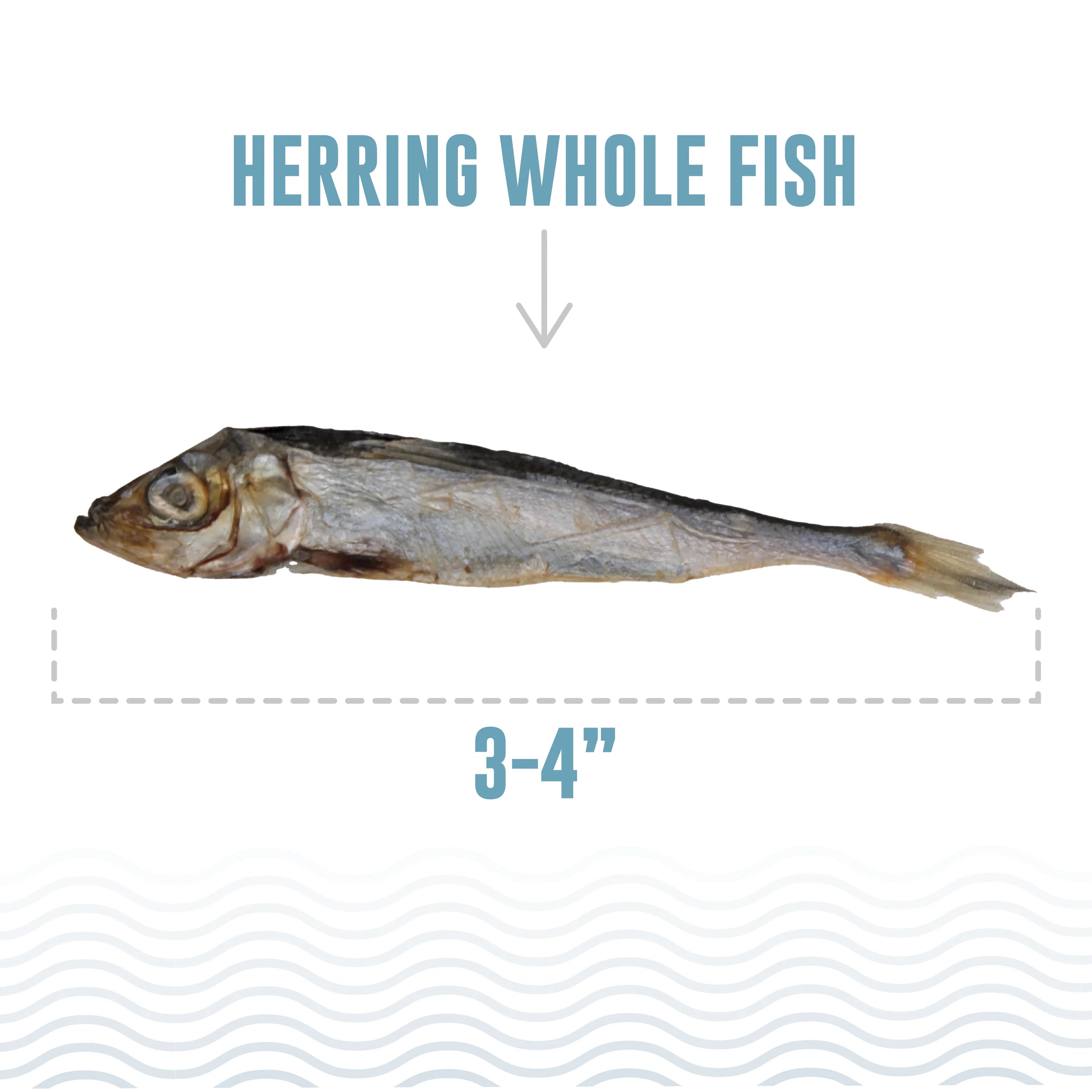 Herring Whole Air-Dried Fish