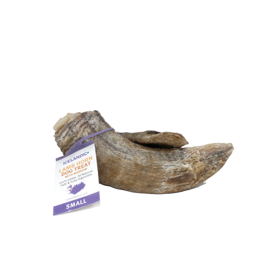Lamb Horn w/ Marrow - Small - ea.