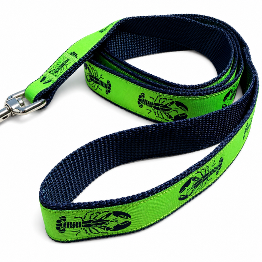 1” Ribbon Dog Leash - Navy Lobster On Lime - Navy Nylon