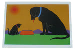 Labrador Greeting Cards - 10 Assorted Thumbnail