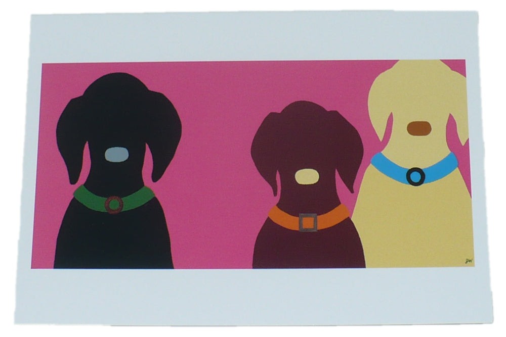 Labrador Greeting Cards - 10 Assorted