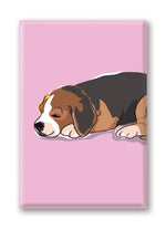 Magnet – Beagle (3 Magnets) Thumbnail
