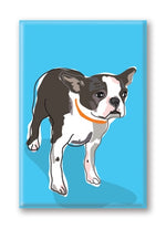 Magnet – Boston Terrier (4 Magnets) Thumbnail