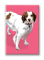 Magnet – Brittany Thumbnail