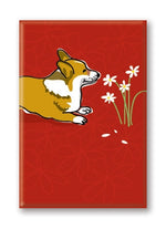 Magnet – Corgi (6 Magnets) Thumbnail