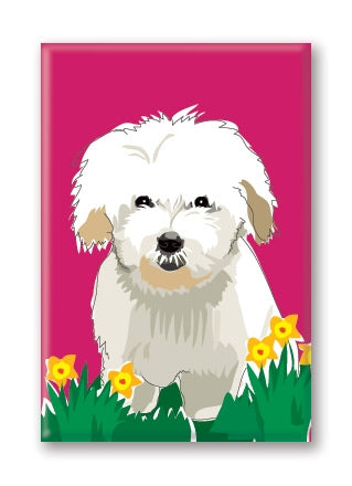 Magnet – Coton De Tulear