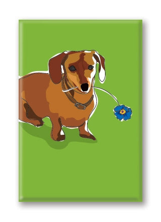 Magnet – Dachshund (5 Magnets)