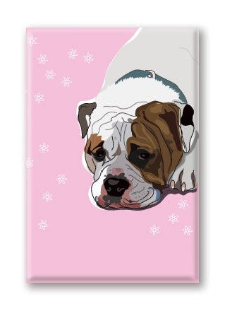 Magnet – English Bulldog (3 Magnets)