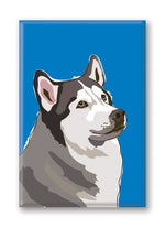 Magnet – Husky Thumbnail