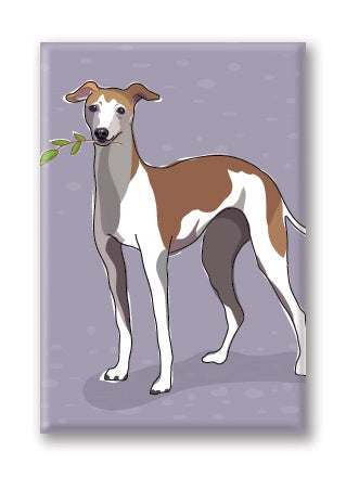 Magnet – Italian Greyhound