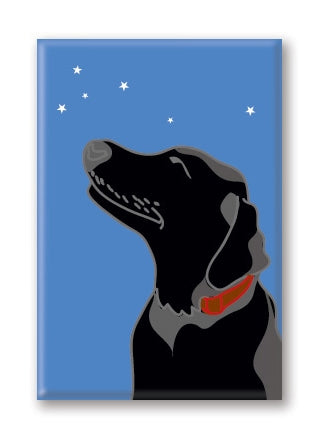 Magnet – Labrador (12 Magnets)
