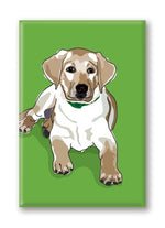 Magnet – Labrador (12 Magnets) Thumbnail
