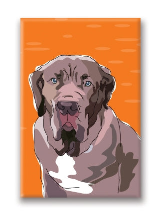 Magnet – Mastiff