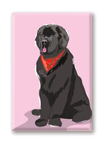 Magnet – Newfoundland Thumbnail