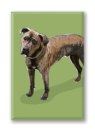 Magnet – Pit Bull (3 Magnets)