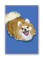 Magnet – Pomeranian Thumbnail