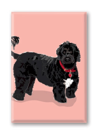 Magnet – Portuguese Water Dog