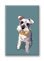 Magnet – Schnauzer (2 Magnets) Thumbnail